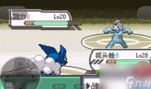 口袋妖怪究极绿宝石II武斗镇道馆攻略：武斗镇道馆打法分享[多图]
