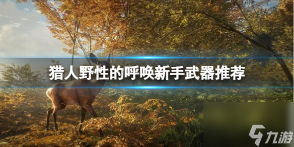 《猎人野性的呼唤》新手推荐使用什么武器 新手武器推荐