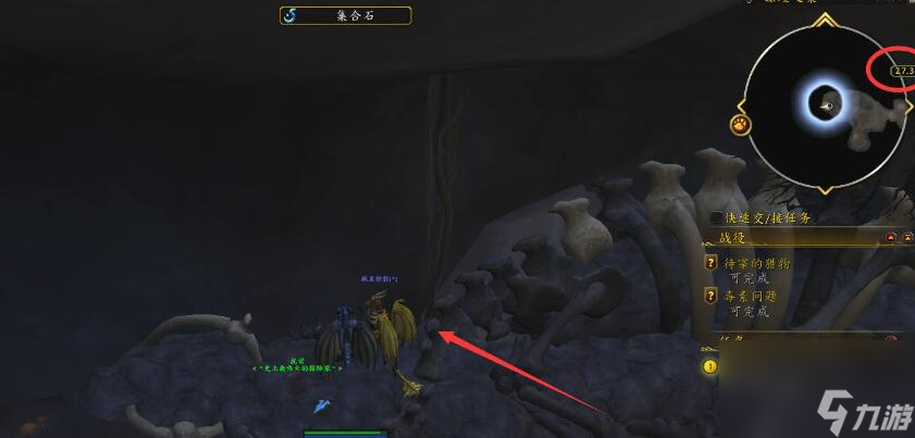 魔兽世界的小科在哪