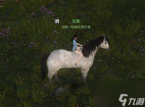 逆水寒坐骑怎么抓 坐骑抓取方法