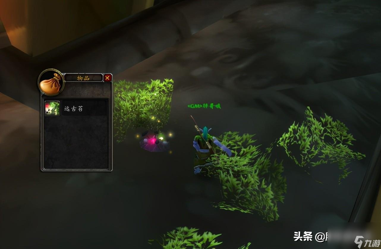 魔兽噩梦藤去哪里采集 TBC草药价值分析一览