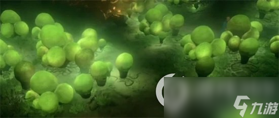 《博德之门3》箴言菇怎么获得 箴言菇获取方法介绍