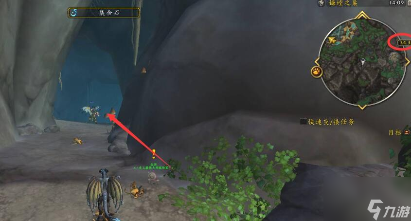 魔兽世界的小科在哪