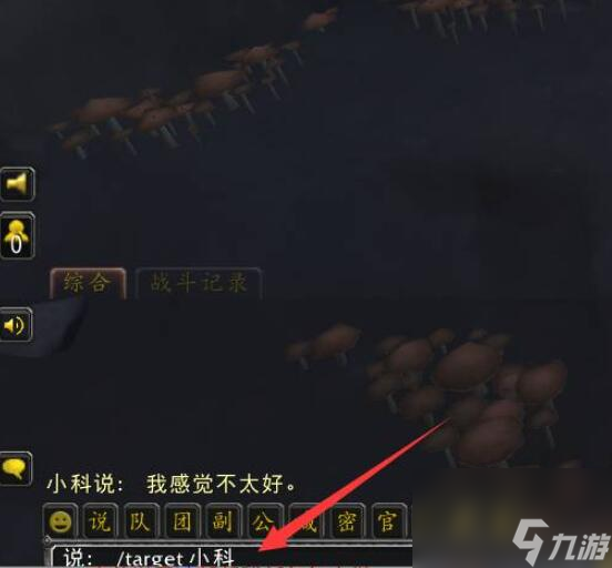 魔兽世界的小科在哪