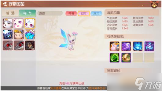 梦想新大陆宠物交易方法分享 宠物如何获得