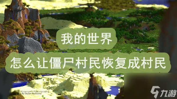 我的世界怎么让僵尸村民恢复成村民