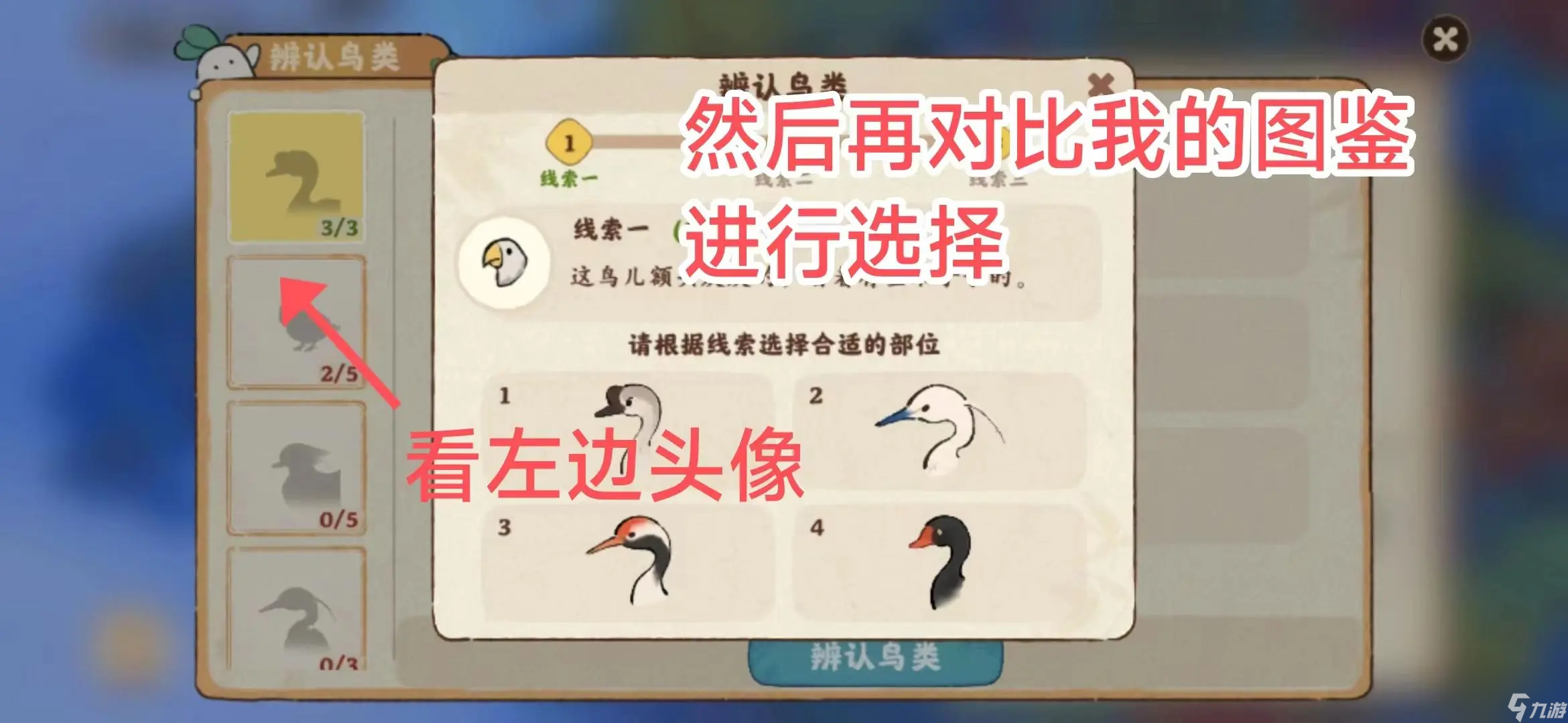 桃源深处有人家怎么识别鸟