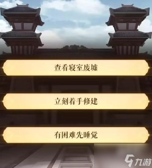 代号鸢选项是什么