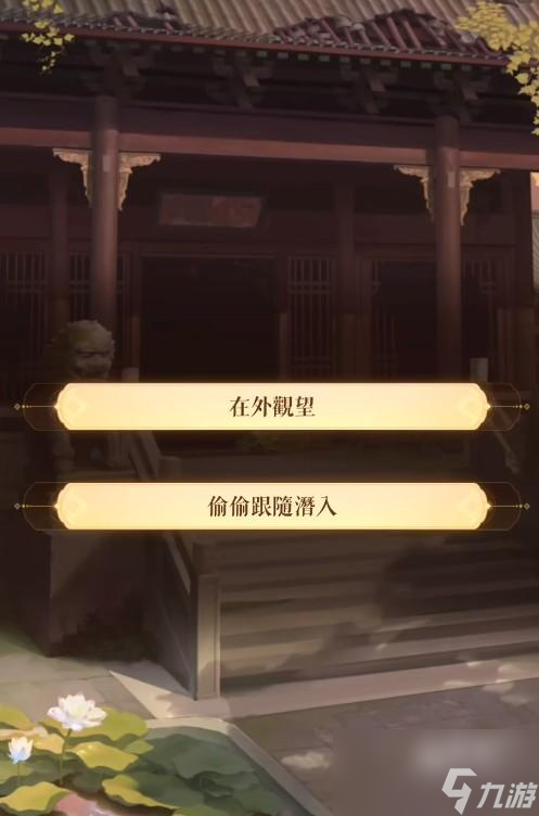 代号鸢选项是什么