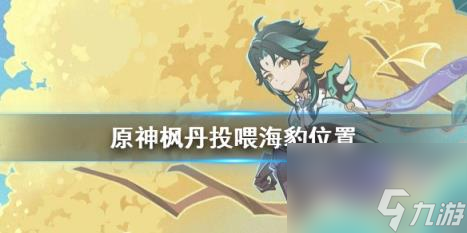 原神枫丹投喂海豹任务在哪触发？枫丹投喂海豹位置