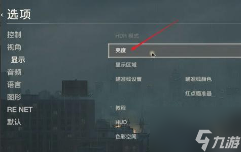 生化危機2重制版亮度怎么調(diào)最好？