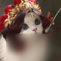 王者荣耀情侣猫咪头像情头汇总