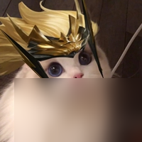 猫咪头像战士英雄头像汇总