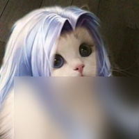 王者荣耀情侣猫咪头像情头汇总