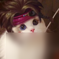 猫咪头像战士英雄头像汇总