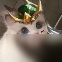 猫咪头像战士英雄头像汇总