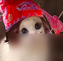 王者荣耀情侣猫咪头像情头汇总