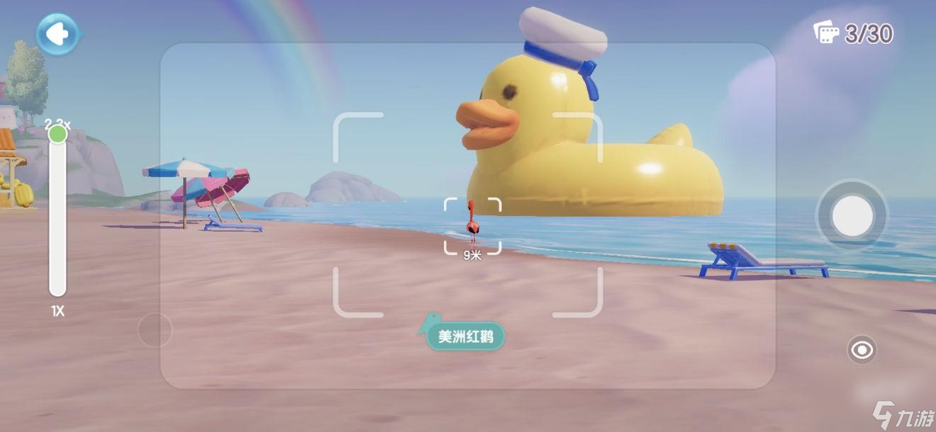 心動小鎮(zhèn)觀鳥攻略一覽