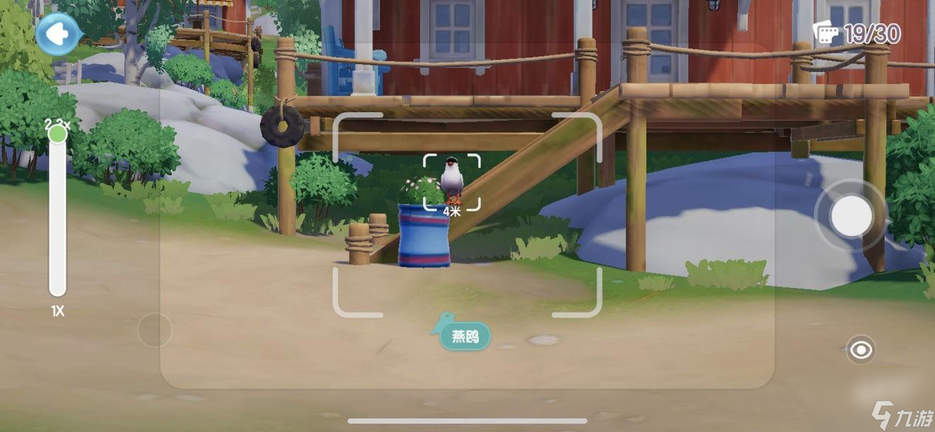 心動小鎮(zhèn)觀鳥攻略一覽