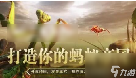 小小蚁国蚂蚁排行2023 小小蚁国蚂蚁排行一览