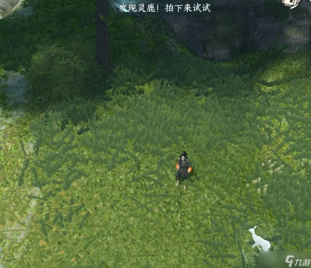 《逆水寒》手游仙居原动物好感度速刷攻略