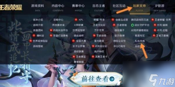 王者荣耀兑换码在哪里输入-王者荣耀兑换码在哪里兑换