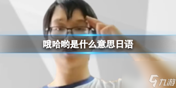 哦哈哟分享意思日语 哦哈哟学妹详解