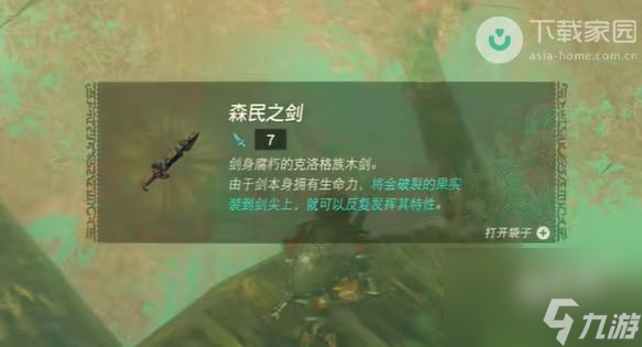 塞尔达传说王国之泪纳未敏的寻宝游戏任务如何完成