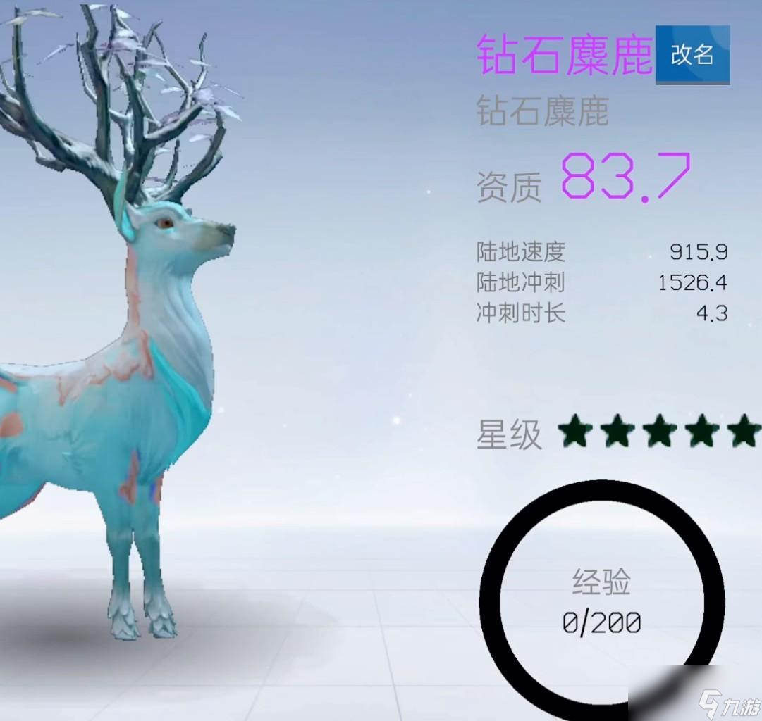 创造吧我们的星球宠物哪个好