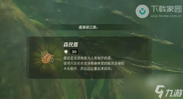 塞尔达传说王国之泪纳未敏的寻宝游戏任务如何完成