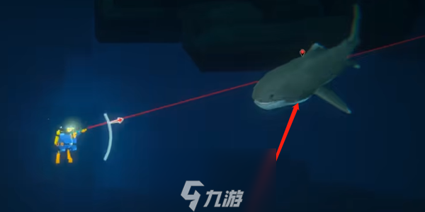 潜水员戴夫巨口鲨在哪-巨口鲨位置一览