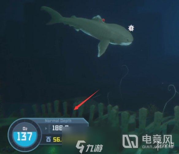 潜水员戴夫巨口鲨在哪-巨口鲨位置一览