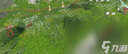 《逆水寒》仙居原4种动物好感度速刷攻略