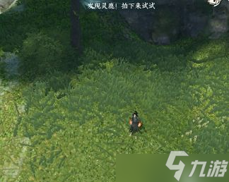 逆水寒手游仙居原动物好感度怎么升级 仙居原动物好感度升级详细攻略