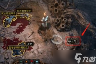 博德之门3夜兰花怎么送 详细赠送攻略分享