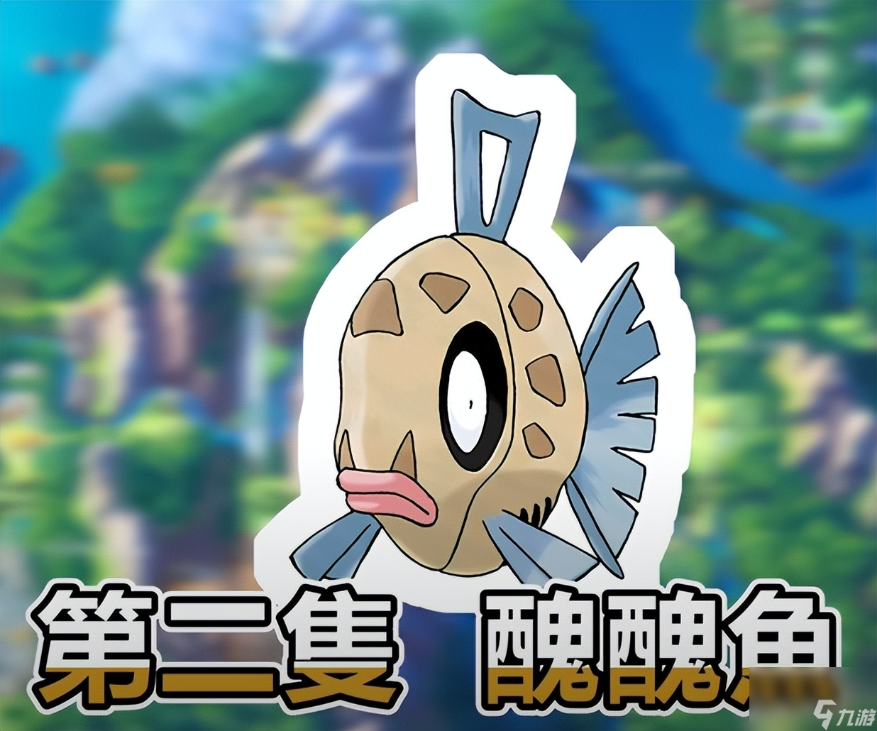 宠物小精灵珍珠速刷攻略大全（宝可梦精灵捕捉地点介绍）