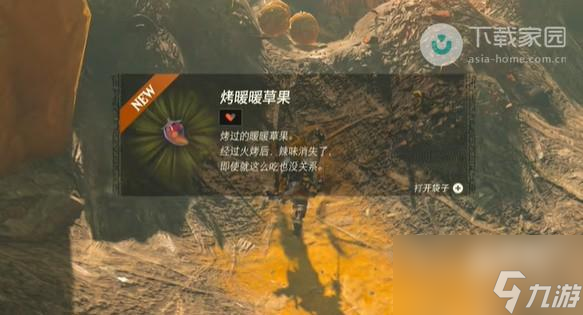 塞尔达传说王国之泪风滚草大扫除任务怎么完成