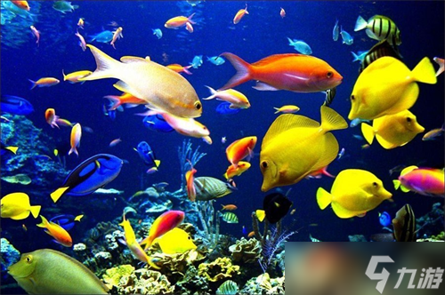 “掌上水族馆”《钓鱼大对决》上线，感恩回馈大放送