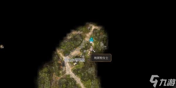 博德之门3元素亢奋之靴获得攻略