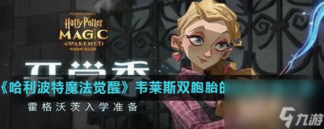 《哈利波特魔法觉醒》韦莱斯双胞胎的回响卡牌介绍