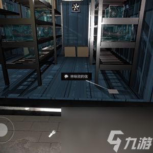 孙美琪疑案金凤凰线索林咏欣的信位置介绍