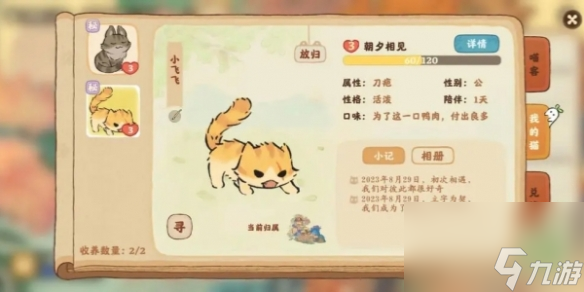 《桃源深处有人家》神秘猫攻略