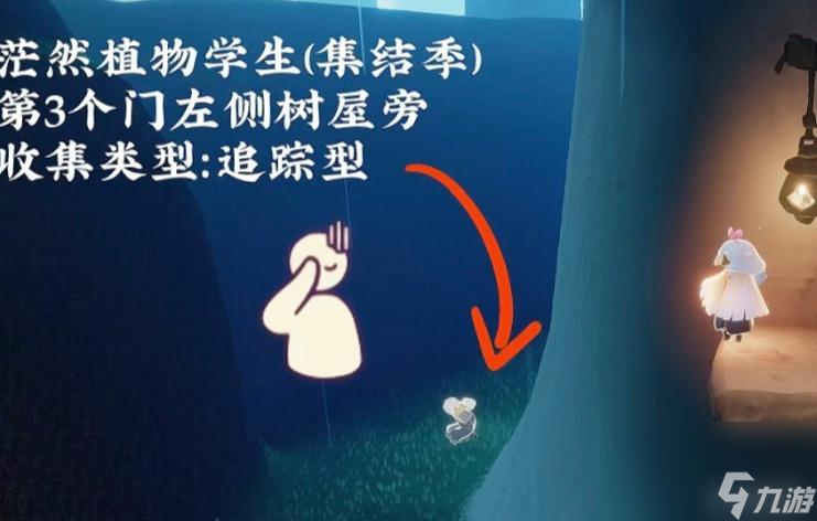 光遇的雨林有几个复刻先祖？