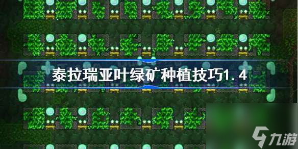 泰拉瑞亚叶绿矿生长需要什么条件(泰拉瑞亚叶绿矿怎么弄)