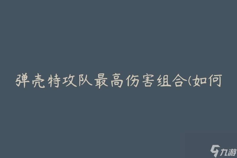 弹壳特攻队最高伤害组合(如何搭配技能与装备提升输出)