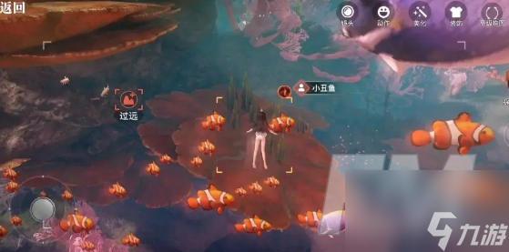 天谕手游汐愿之海鱼类都分布在哪里 海鱼类坐标图鉴