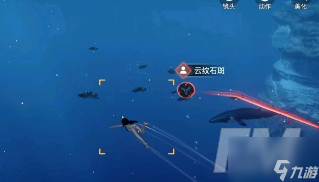 天谕手游汐愿之海鱼类都分布在哪里 海鱼类坐标图鉴