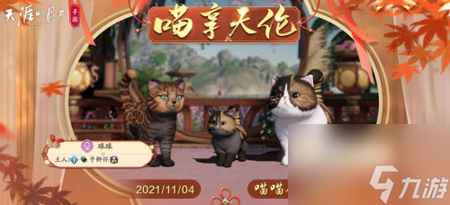天涯明月刀小动物分布(天涯明月刀猫咪怎么捏)