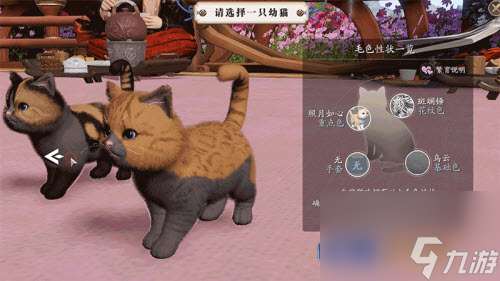天涯明月刀小动物分布(天涯明月刀猫咪怎么捏)