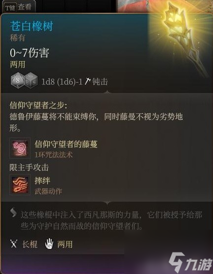 《博德之门3》装备与特别物品收集攻略